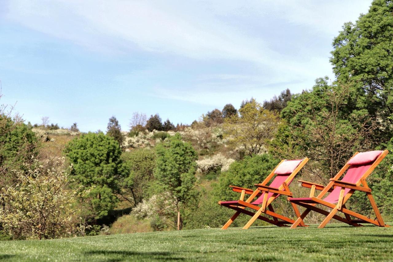 Encosta Do Sobreiro - Serra Da Estrela Hébergement de vacances *